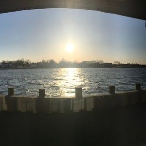 Meet your Posher, Ava